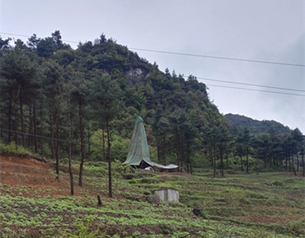 把脈“黔”鋅地，問診開良方